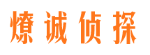 丰顺市调查公司